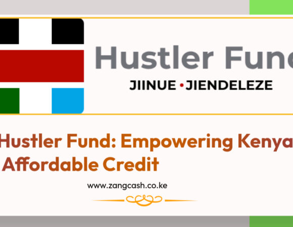 Hustler Fund Guide