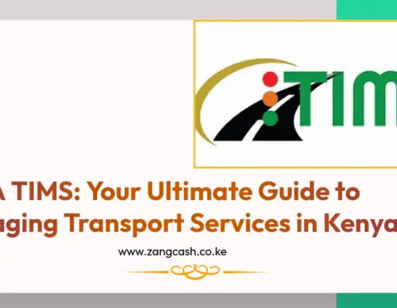 7 Easy Steps to Master NTSA TIMS