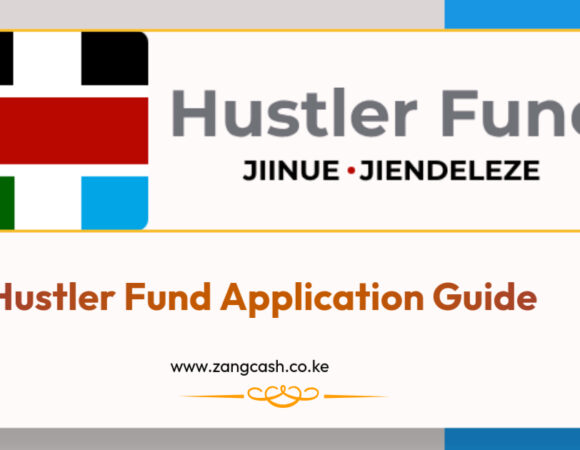 Hustler Fund Application Guide 2024/2024