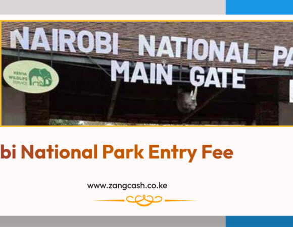 Nairobi National Park Entry Fee 2024/2025