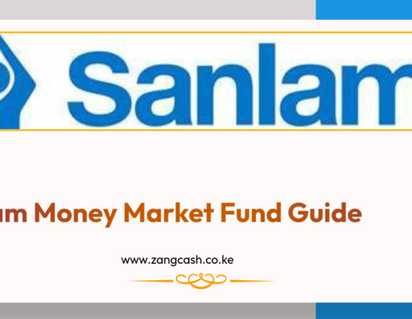 Comprehensive Sanlam Money Market Fund Guide