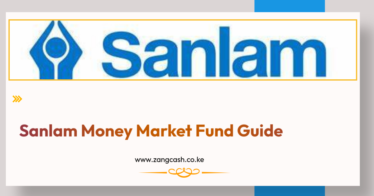 Sanlam Money Market Fund Guide